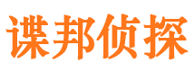 湛河市私家侦探